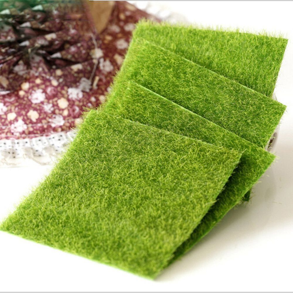 Ökologische Rasendekoration Ga – Terrarium Moss Art Bewertung und Preis